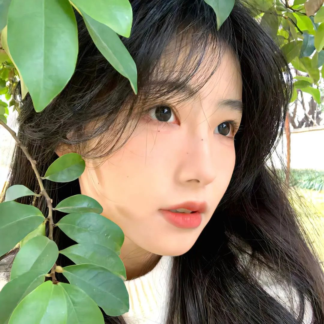 隐世狼女第一季