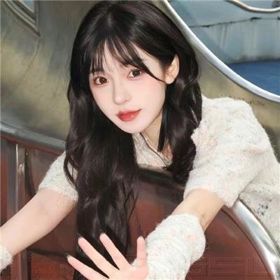 影子军队
